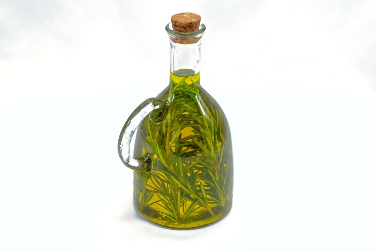 rosemary oil hair growth